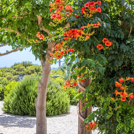 Mythos Suites Diskos Lentas Bagian luar foto